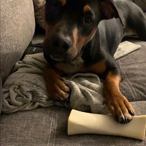 Meet your Posher, Ashley